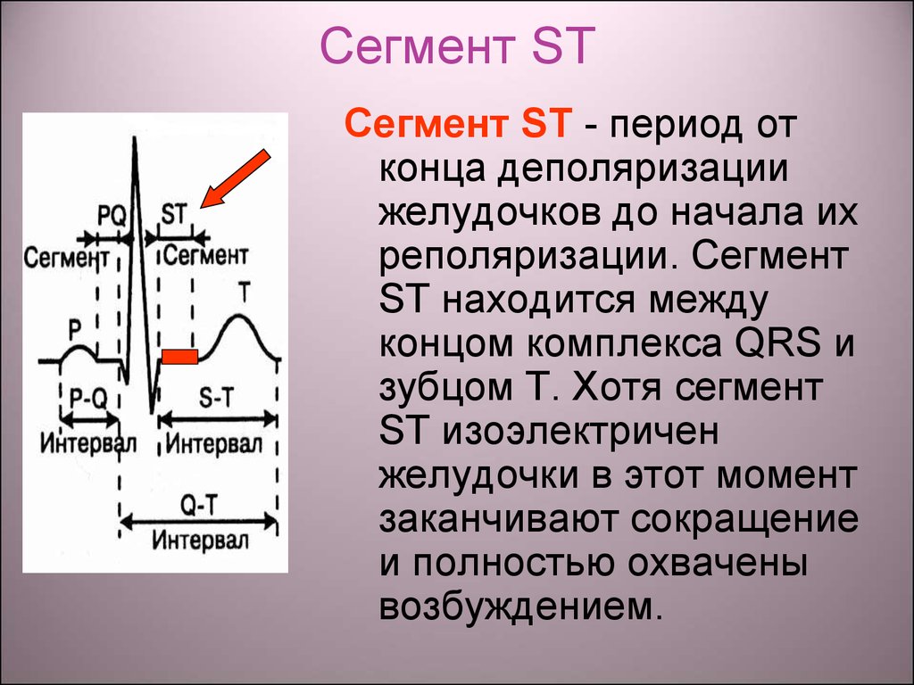 Сегмент st
