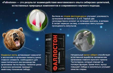 состав крема для увеличения пениса