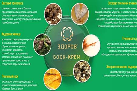 состав