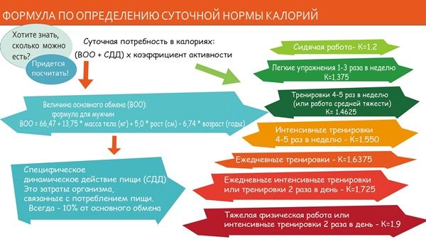 схема расчета суточной нормы калорий