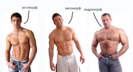 типы телосложения