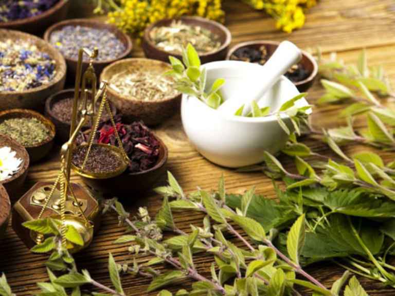 травы при цистите у женщин