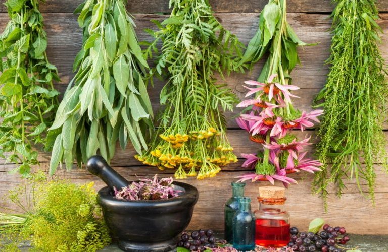 Травы при цистите у женщин