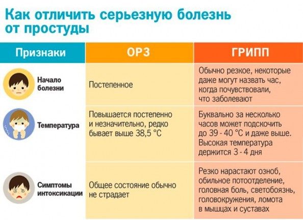 Симптомы ОРЗ и гриппа