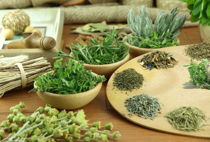 Лечебные травы