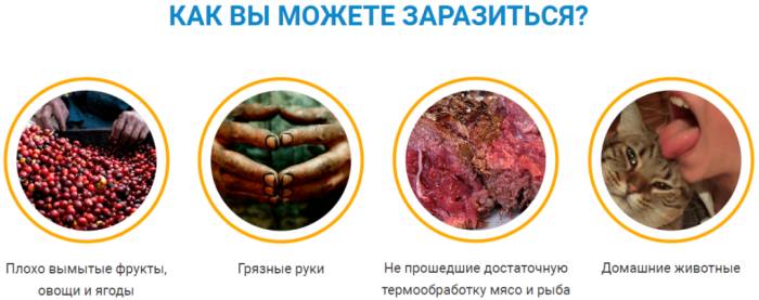Заражение гельминтами