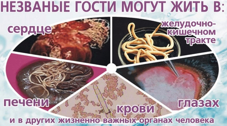 Паразиты в организме человека