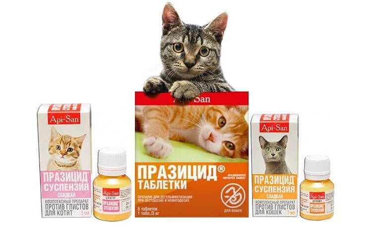 Таблетки от глистов