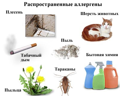 Аллергены