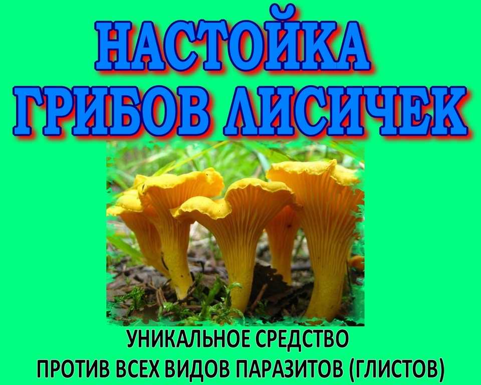 Уникальное средство против паразитов