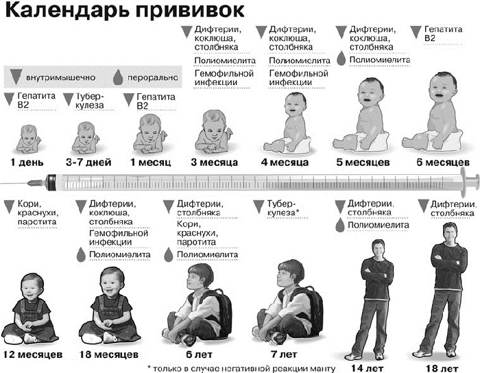 Календарь прививок