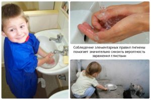 Правила гигиены