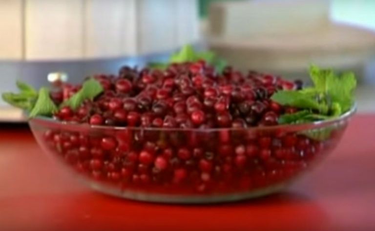 листья брусники при цистите как принимать