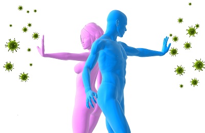 Иммунная система