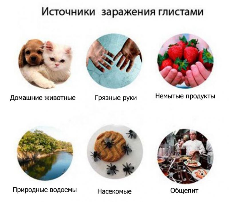 Как попадают острицы