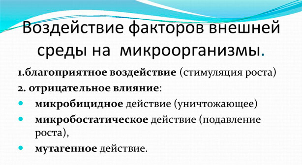 Микроорганизмы