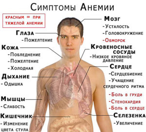 Опасность малокровия