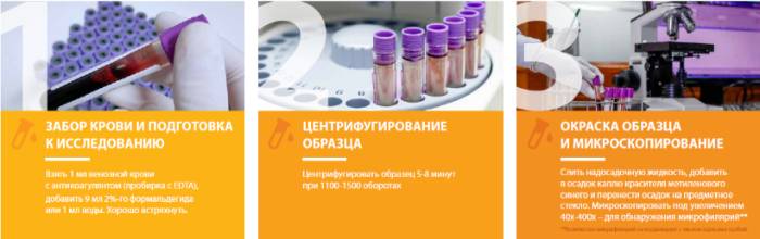 Проба Кнотта