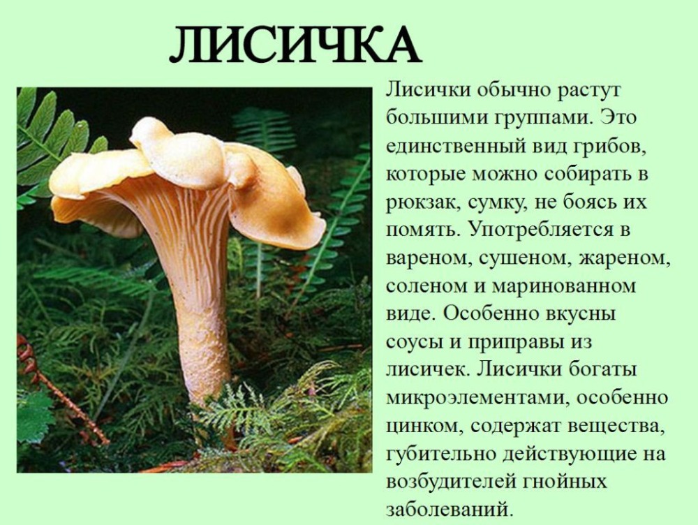 Целебный состав