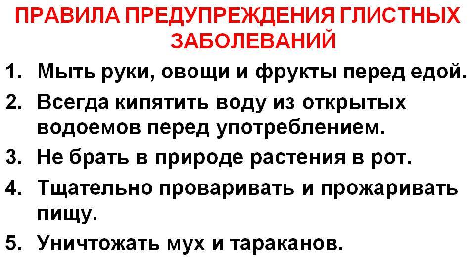 Правила предупреждения глистных заболеваний
