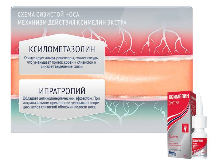 Механизм действия