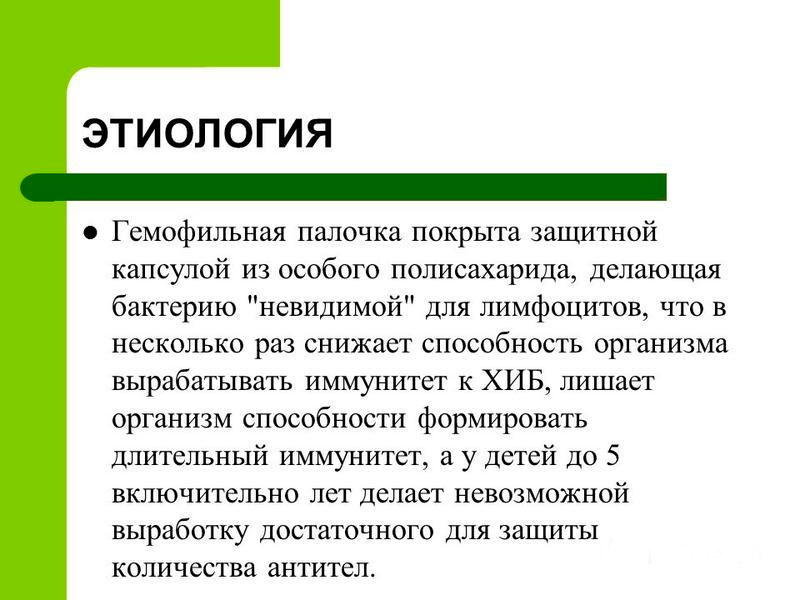 Гемофильная палочка